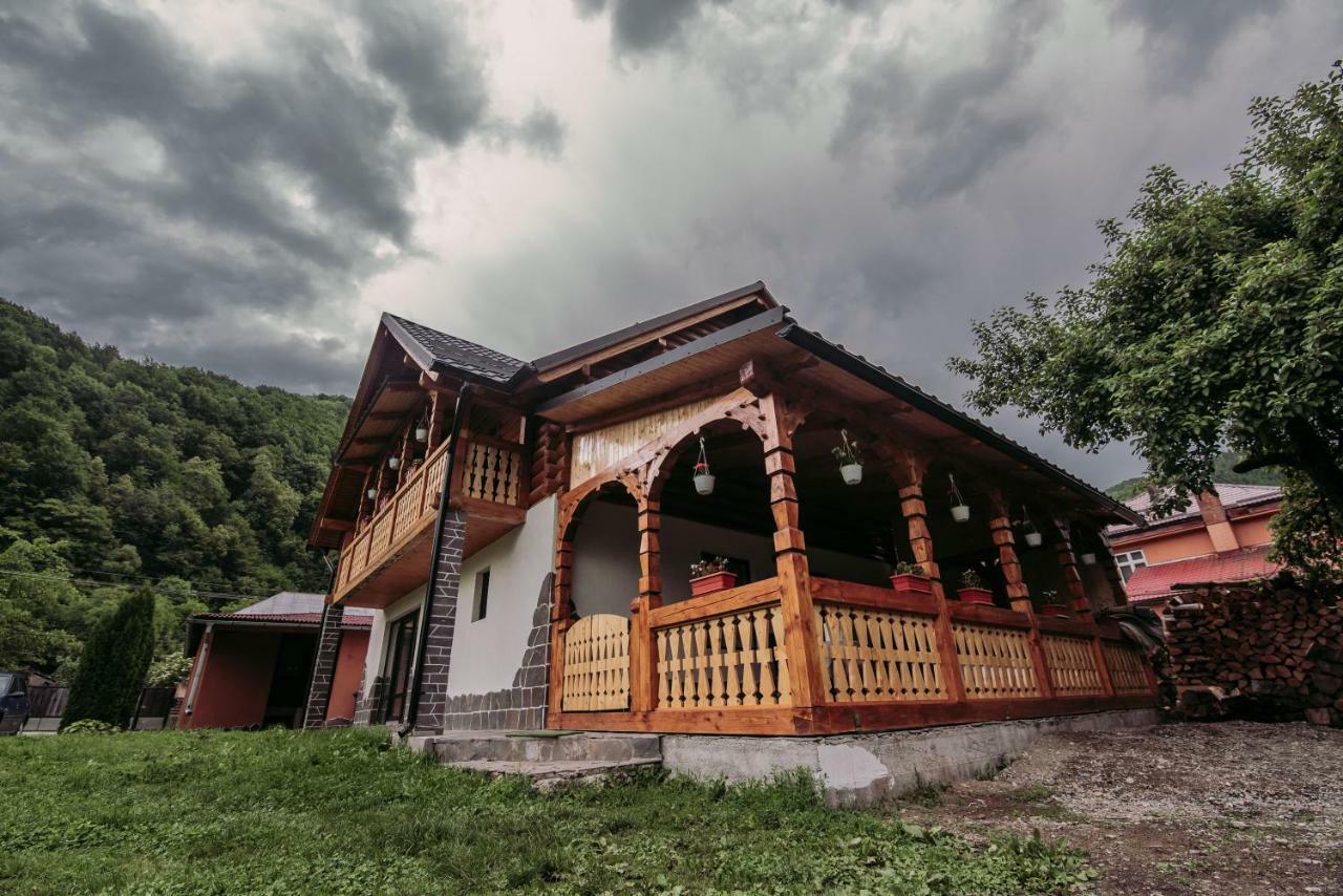 Casa Nova Villa Viseu de Sus Exterior photo