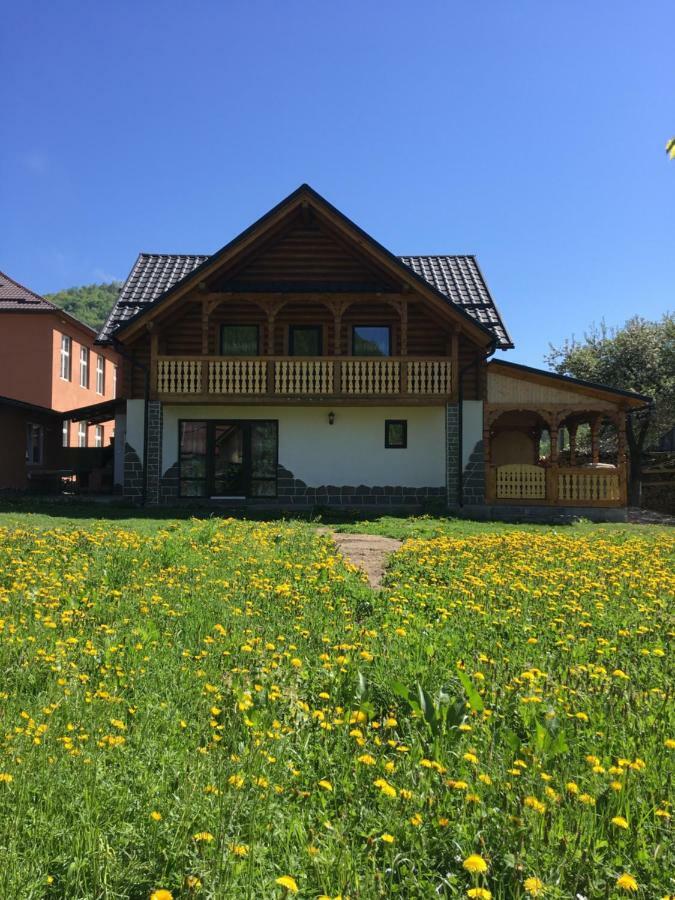 Casa Nova Villa Viseu de Sus Exterior photo